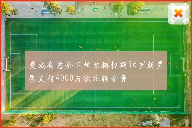 曼城有意签下帕尔梅拉斯16岁新星愿支付4000万欧元转会费